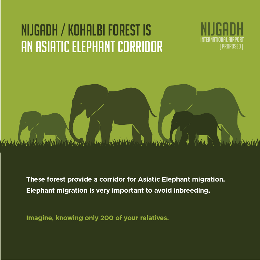 Nijgadh Campaign