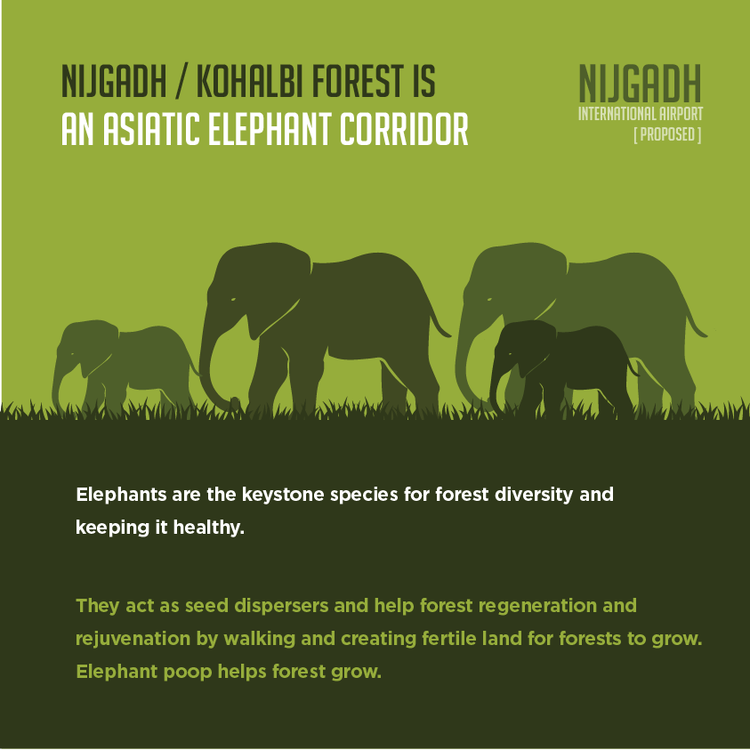 Nijgadh Campaign