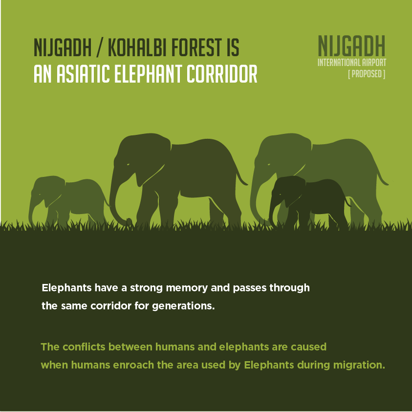 Nijgadh Campaign
